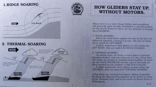 How gliders stay up without motors